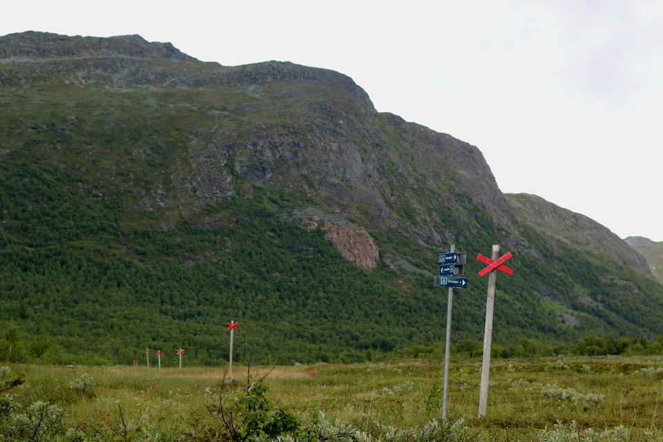 På leden mellan Kittelfjäll och Grönfjäll.