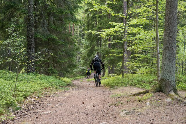 Ekeberg Mountain bike track: Juleskum