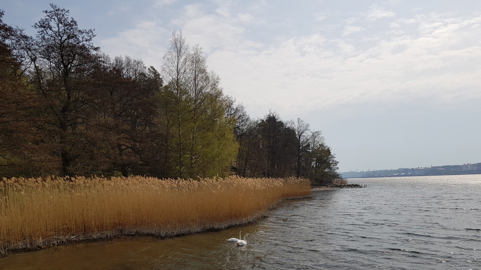 Vasstrand nedanför Lidingsberg. Foto Lidingö stad