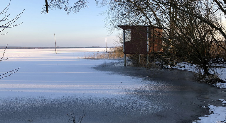 Skridskois.