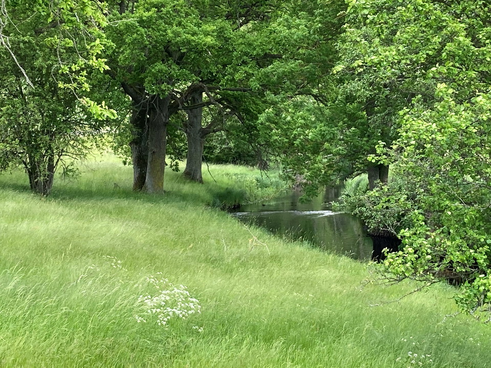 Vackra kulturlandskap runt Bräkne-Hoby. 