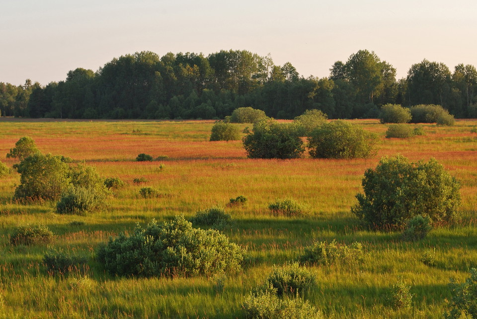 Fotograf: Tobias Ivarsson