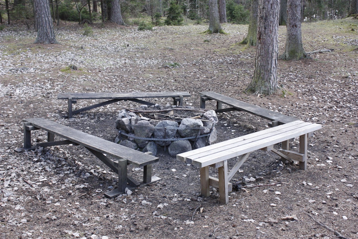 I en skogsglänta står en grillplats med fyra flyttbara sittbänkar runtom.