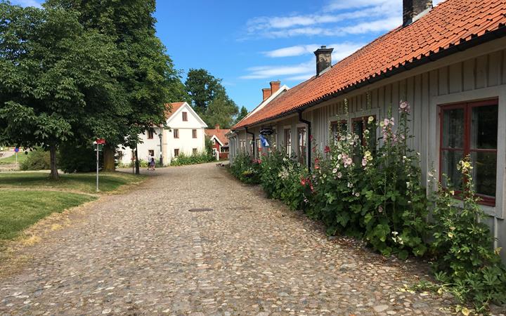 Kullerstensgata med låg träbyggnad till höger i bild med höga blommor framför fasaden. ckar blo
