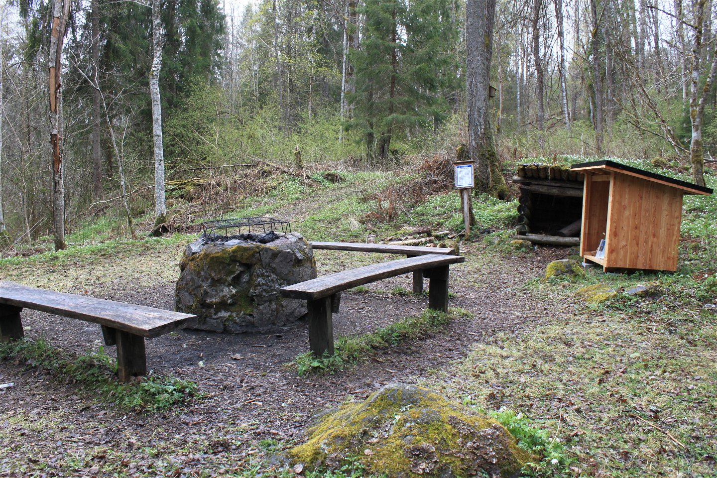 På en öppen yta i skogen står en grillplats med tre sittbänkar runtom. Bredvid finns mindre vedförråd och en informationsskylt. 