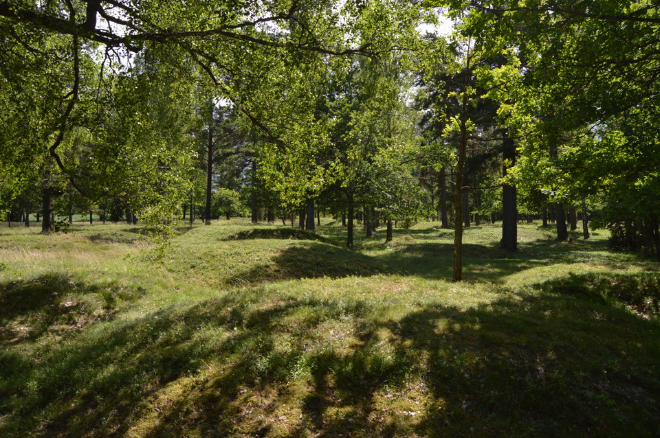 Alma Skog