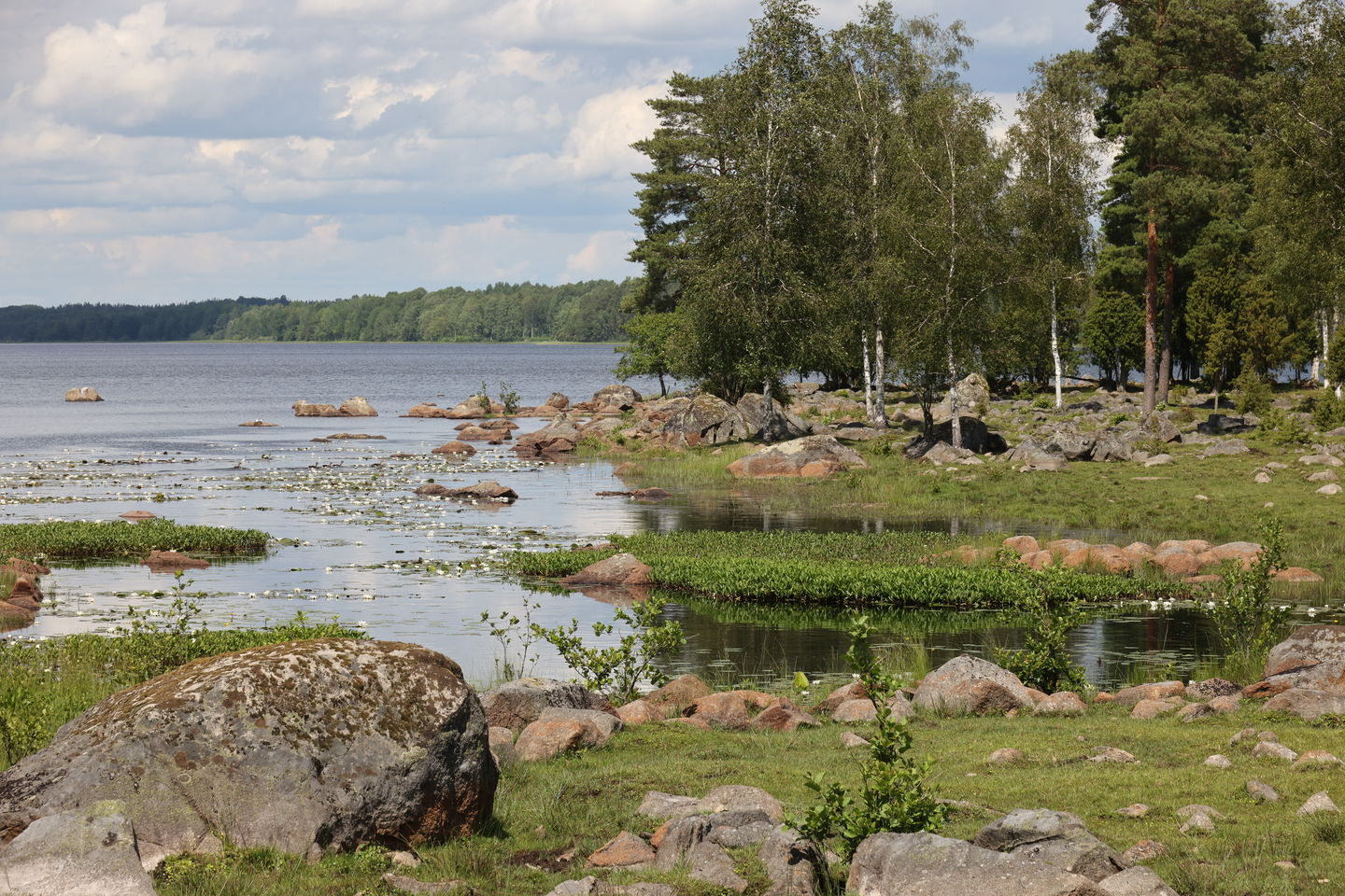 Foto: Niklas Kämpargård