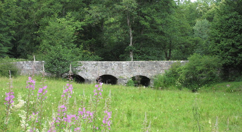 Valvbron.