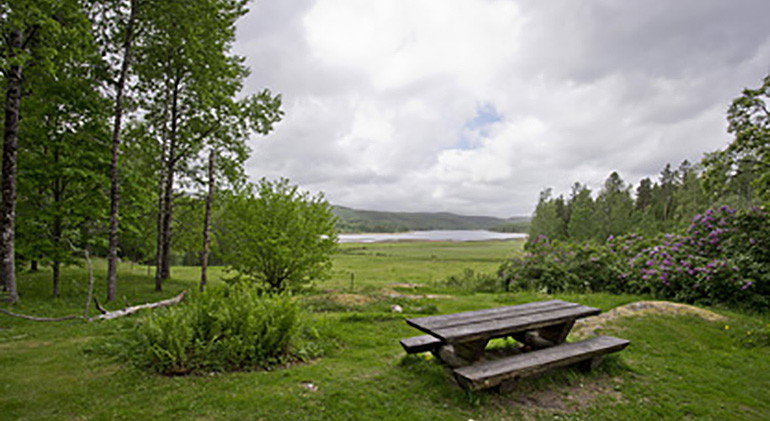 Rastplats med utsikt.