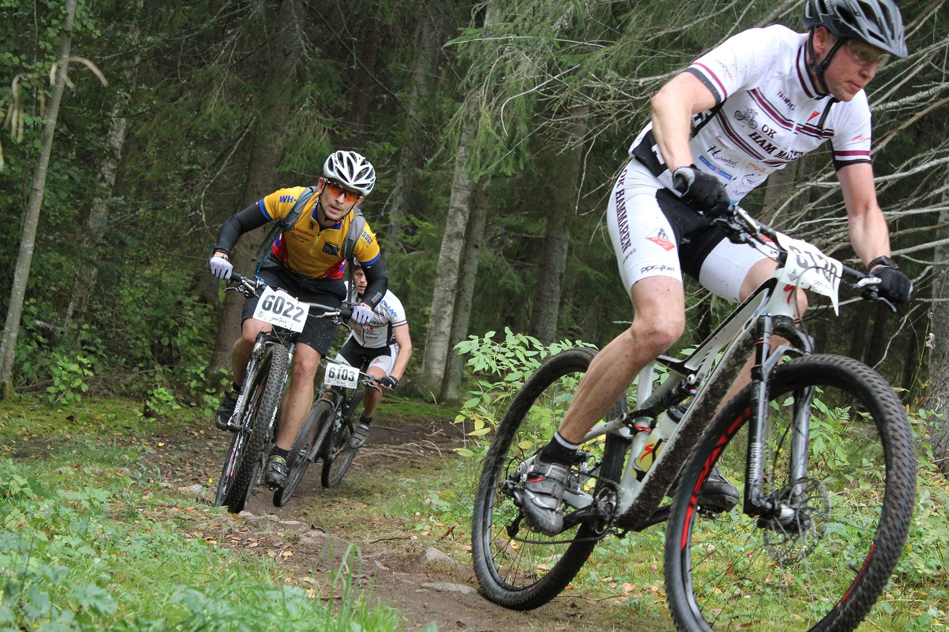 Cykla på Högbo MTB-Arena