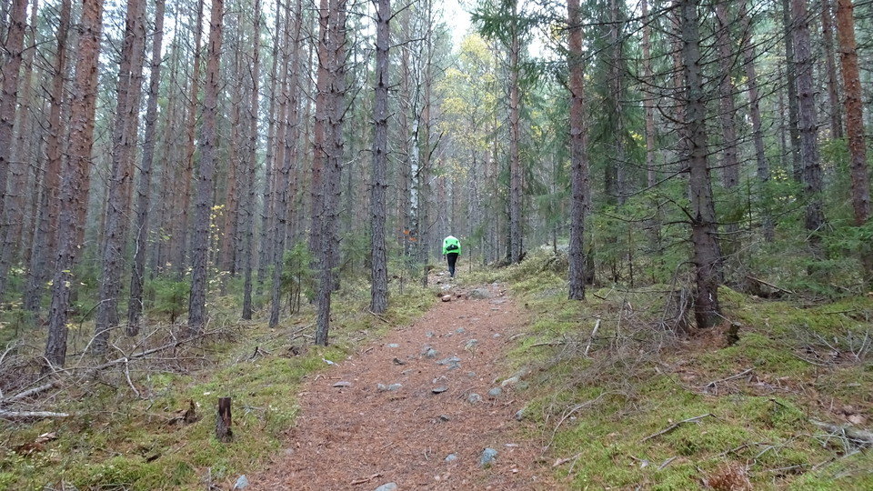 Höstbild. Mot Södra Landsberget från Trummelsberg.