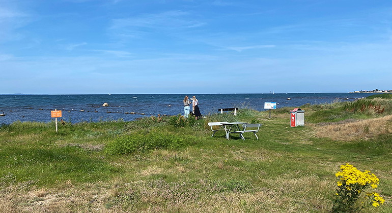 Marint reservat sett från land.