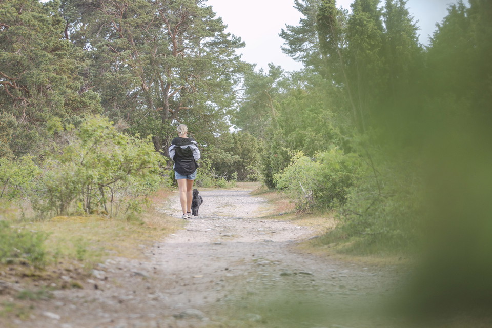 vandrare längs leden