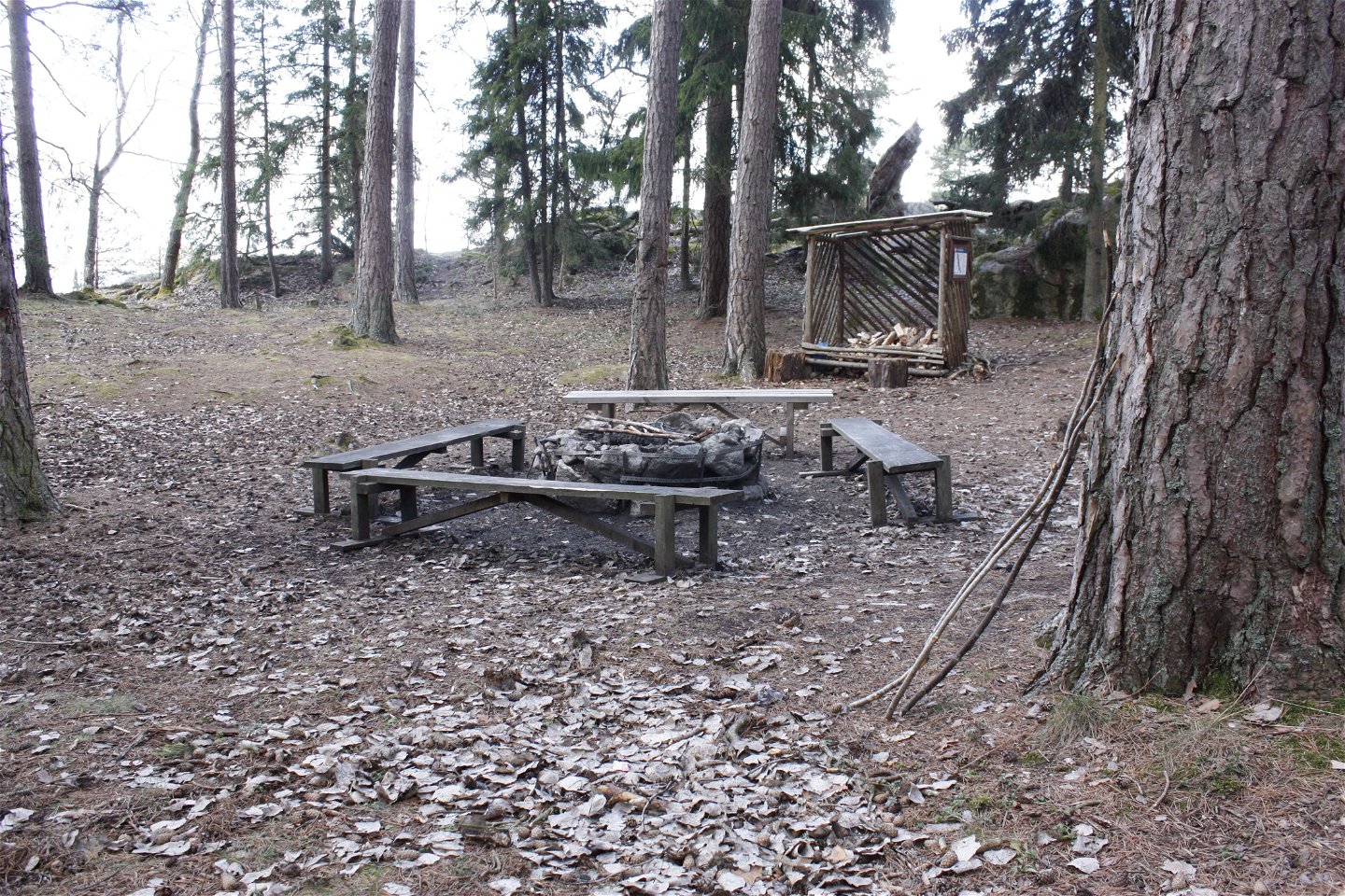 I en skogsglänta står en grillplats med fyra bänkar runtom. Bakom grillplatsen finns ett vedförråd.