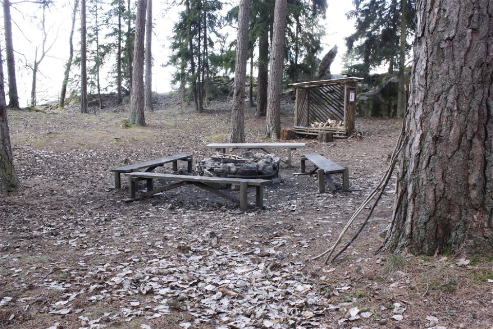 I en skogsglänta står en grillplats med fyra bänkar runtom. Bakom grillplatsen finns ett vedförråd.