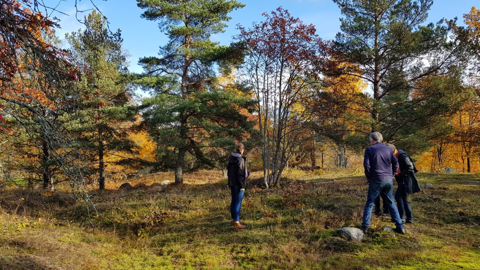 Sticklinge gravfält. Foto Lidingö stad