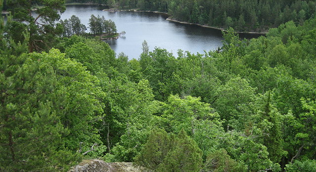 Borgberget, Naturreservat