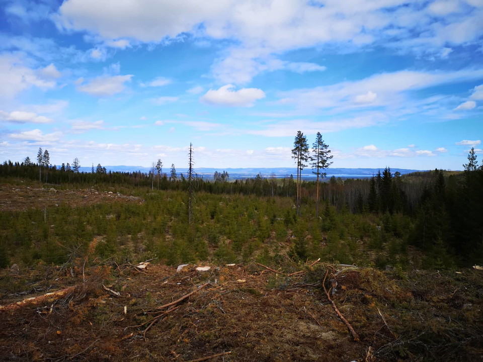 På en höjd på ett hygge, utsikt över Dellensjöarna! 