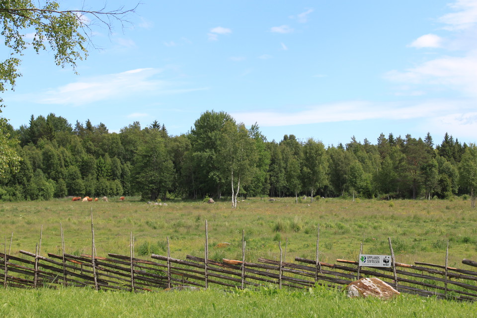 En stor hage omgiven av gärdesgård. Bredvid står en skylt som det står Upplandsstiftelsen och WWF på.