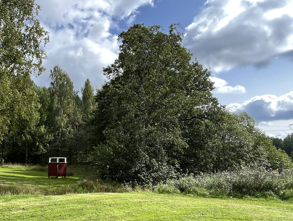 Omklädningshytt och grönytor