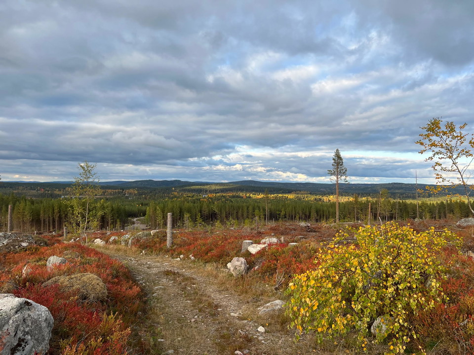 Vänder du dig om så möts du av en strålande utsikt efter några kilometer.
