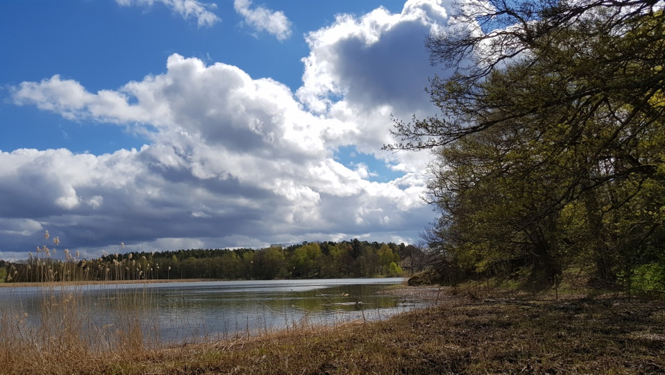 Gråviken från västra stranden. Foto Lidingö stad