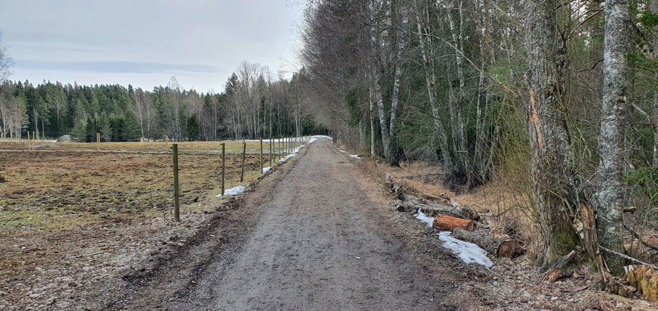 Gångvägen från parkeringen till viltvattnet, fågeltornet, rastplatsen och naturstigen.