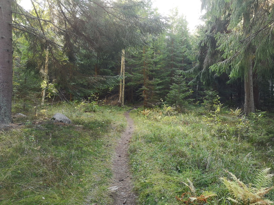 Längs med leden