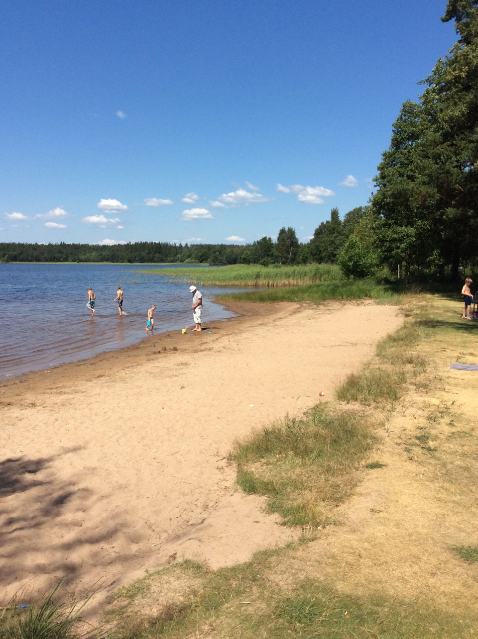 Sommar och sandstrand