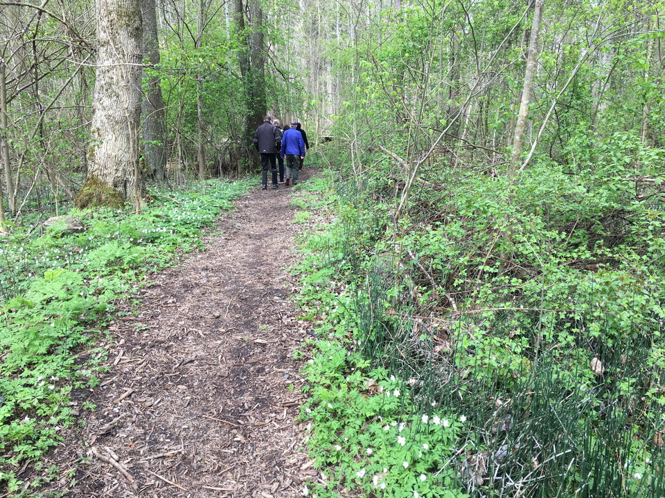 Skogsstigen.
