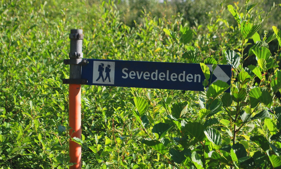 Sevedeleden