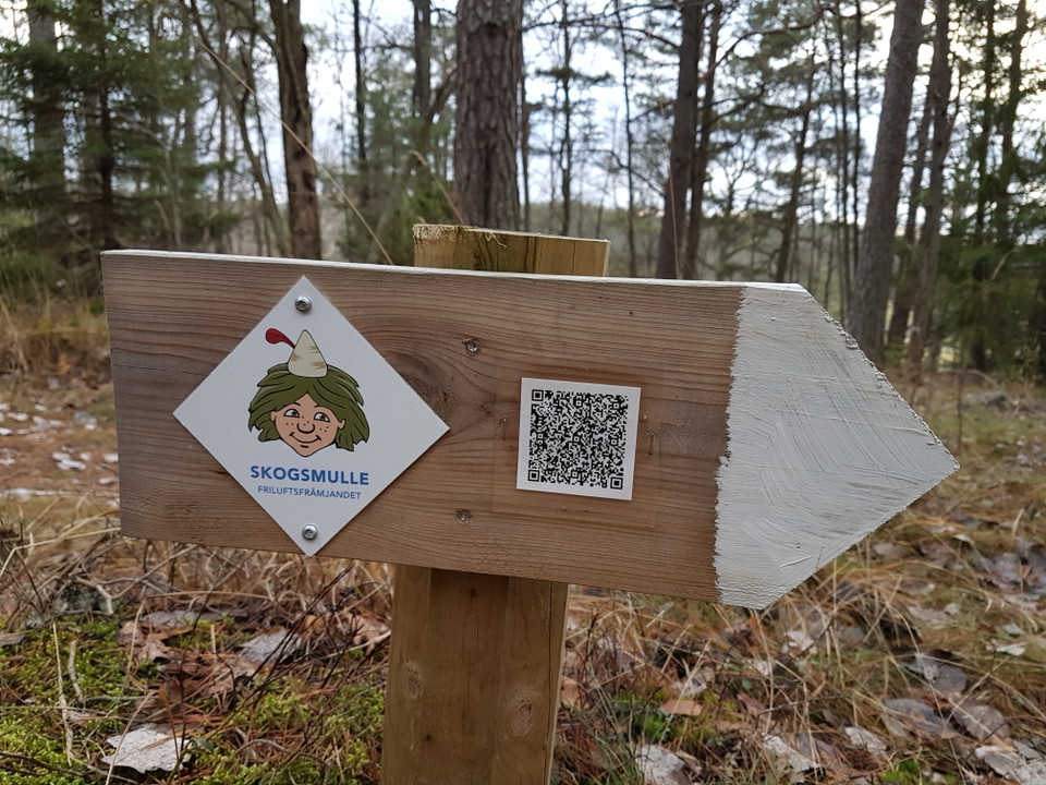 Skogsmulleslinga. Foto Lidingö stad.