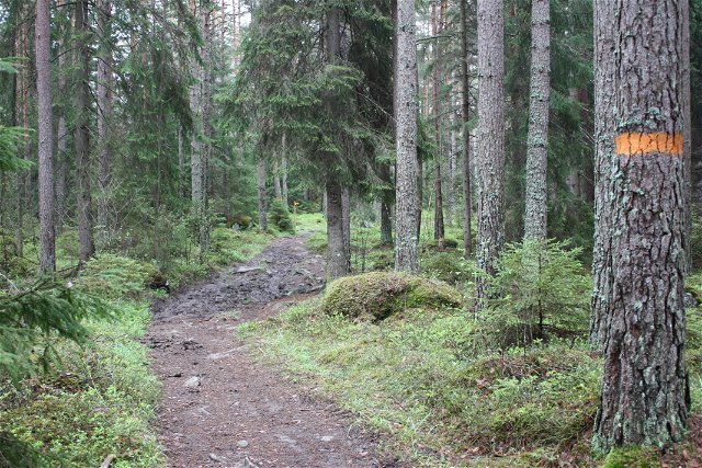 The Uppland Trail, section 25, 10 km