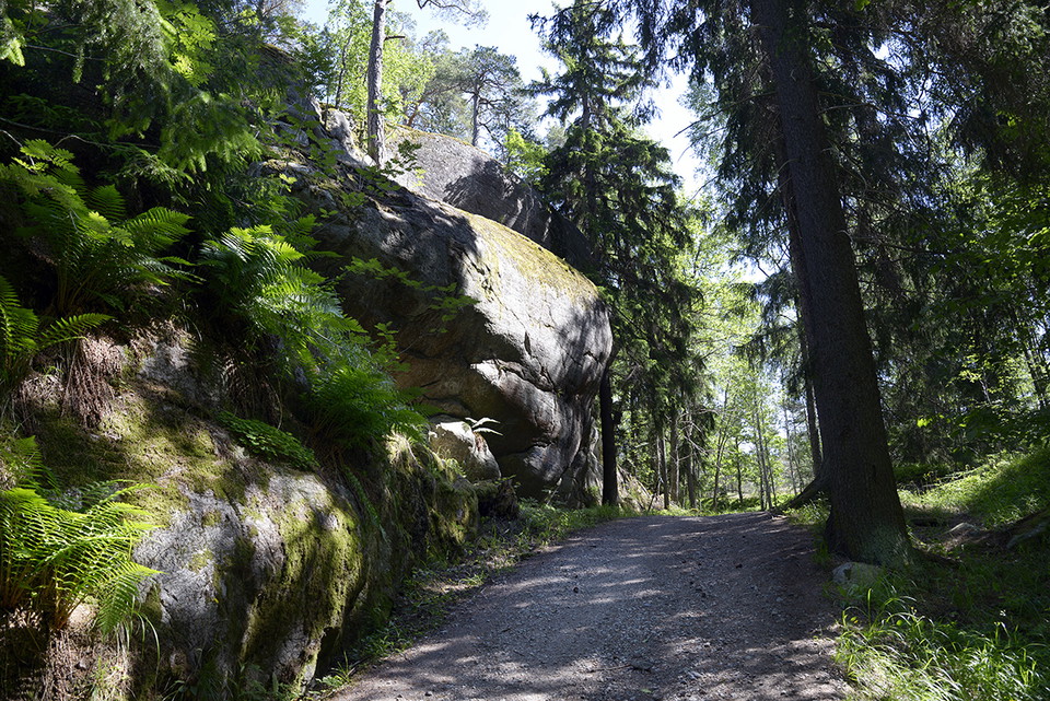 Backen upp mot hällarna på västra sidan.