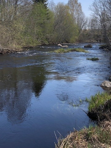 Fiskevatten Lötån/Norralaån