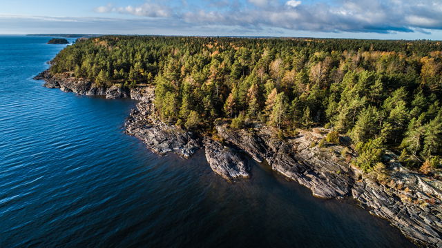 Kinneviken