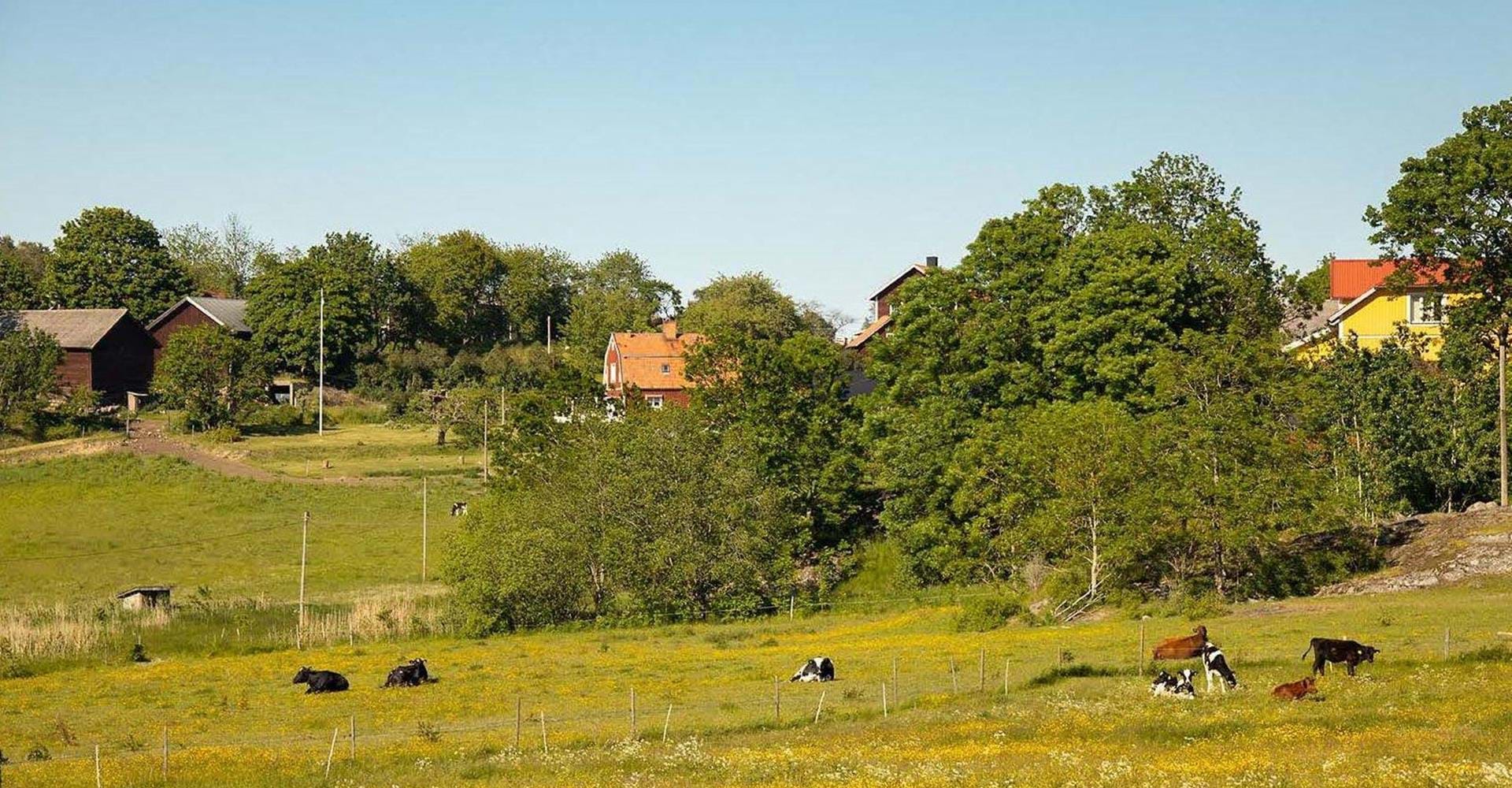 Valdemarsvik - Fyrudden, Östgötaleden