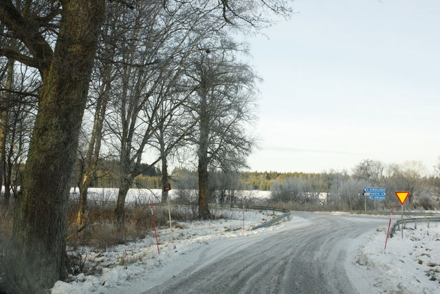 Busshållplats, Djurgården