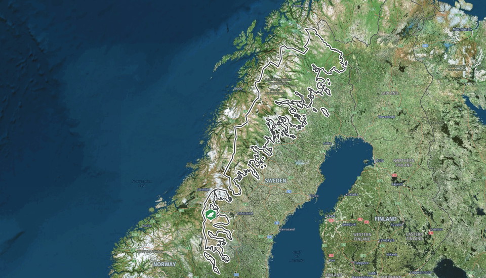 Gränsen för fjällnära skog