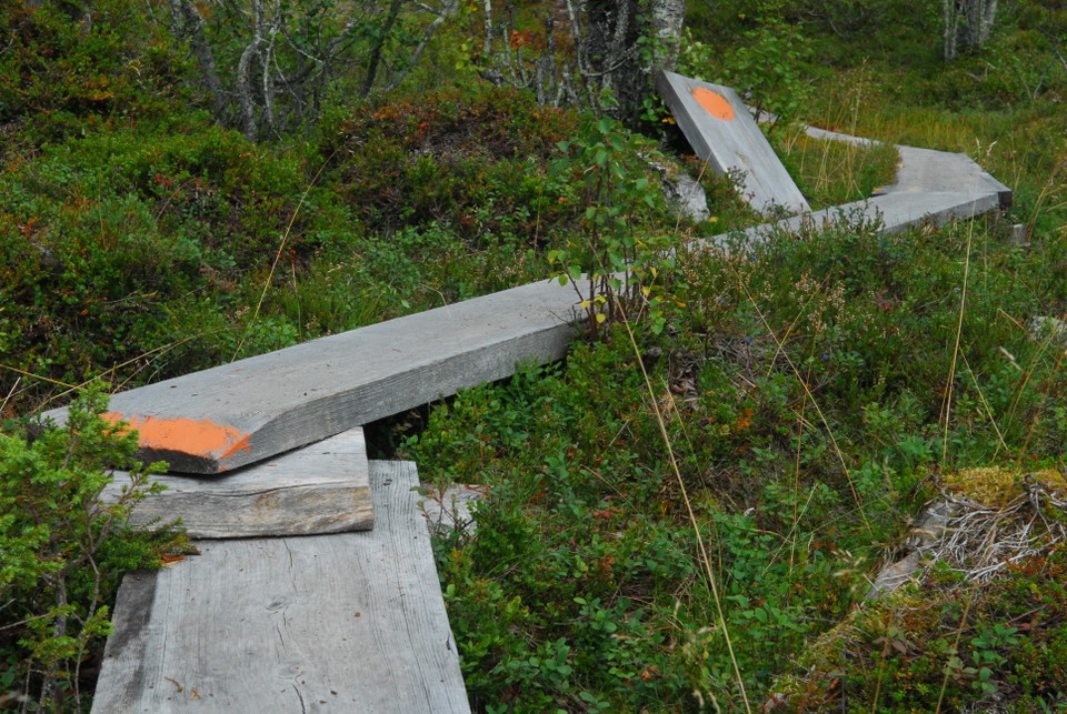 Bild på spångar längs vandringsled. Foto.