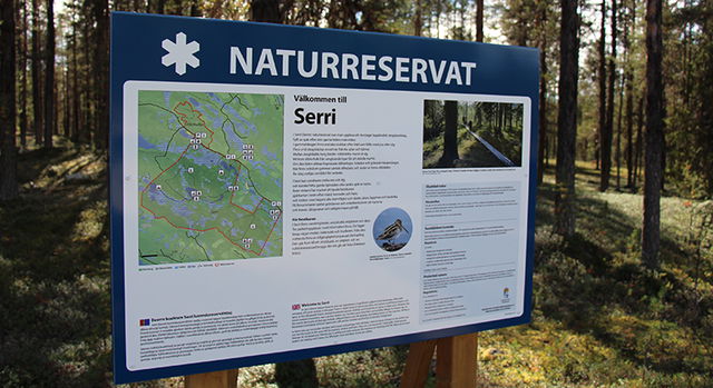 Parking spot Gåsmyrtjärn, Serri