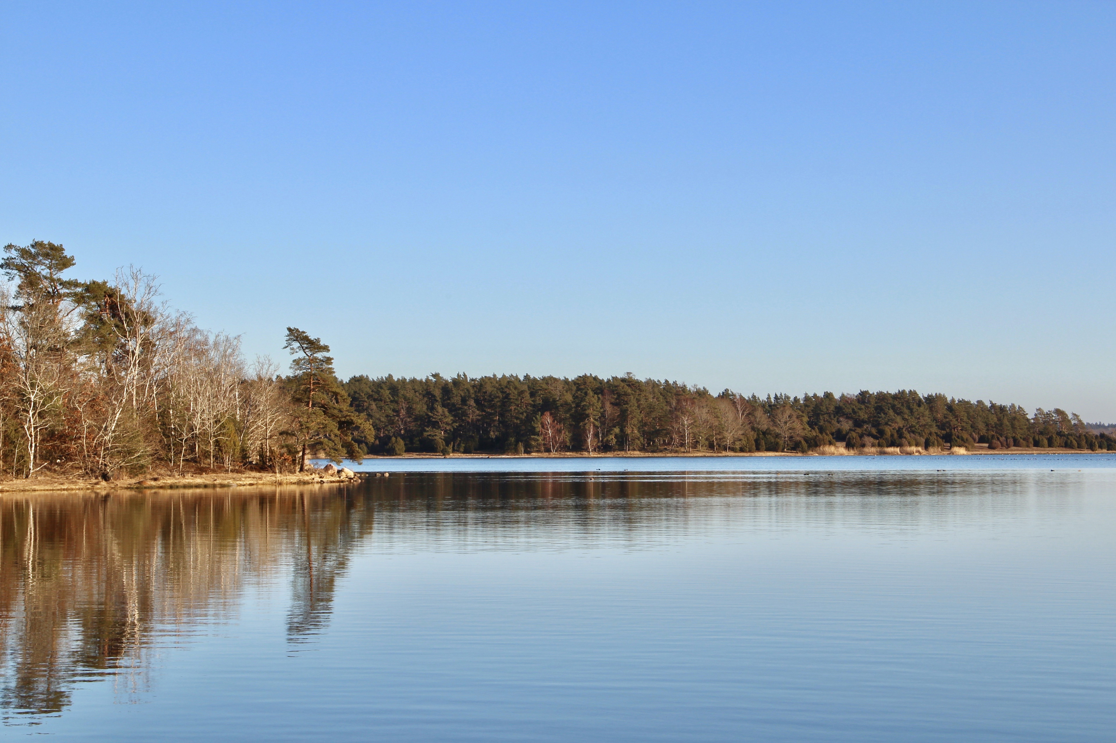 Kalmarsundsleden (Ljungnäs - Revsuddevägen)