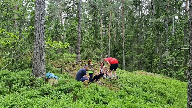 Barnvänliga äventyr - Utflyktsguide för hela familjen
