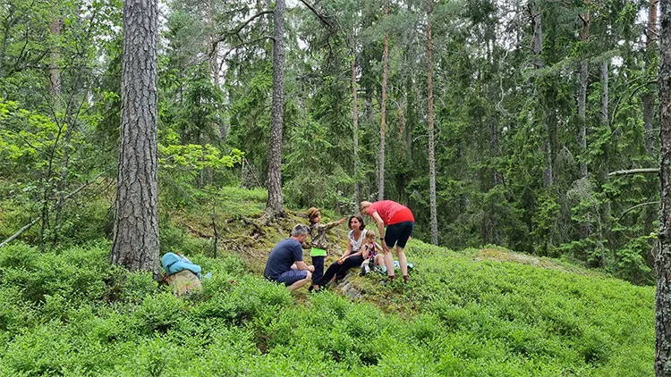 Barnvänliga äventyr - Utflyktsguide för hela familjen