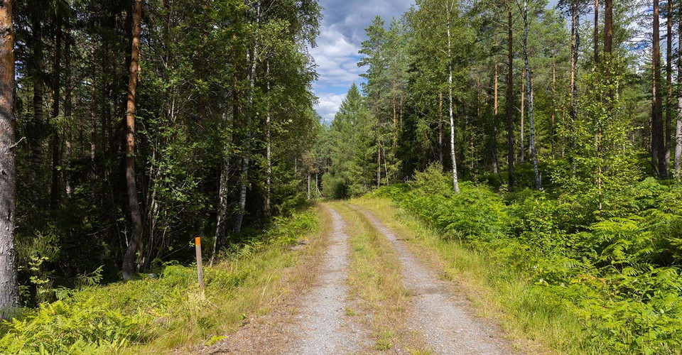 Till största delen går leden på grusvägar.
Rundslinga: Godegård runt.
Motala