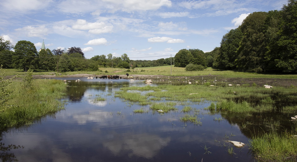 Våtmark.