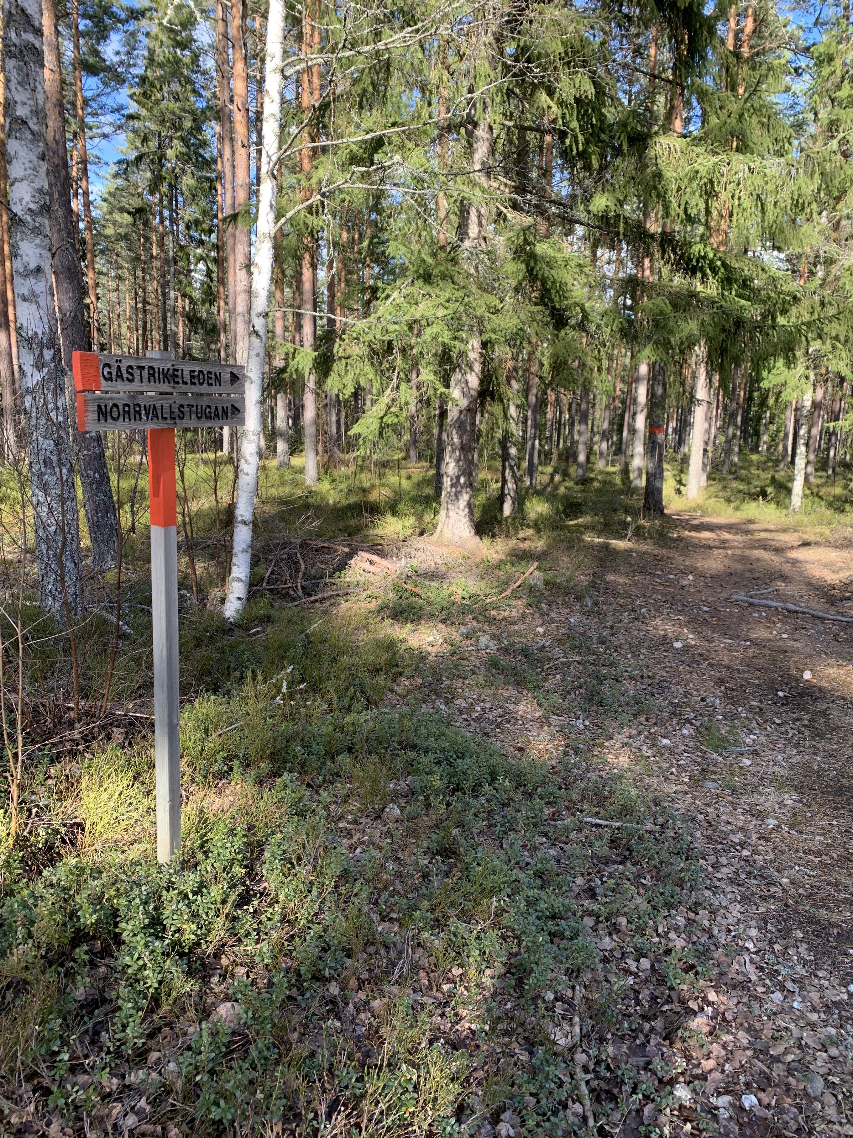 Högbo bruk-Medskogssjön, Gästrikeleden etapp 3