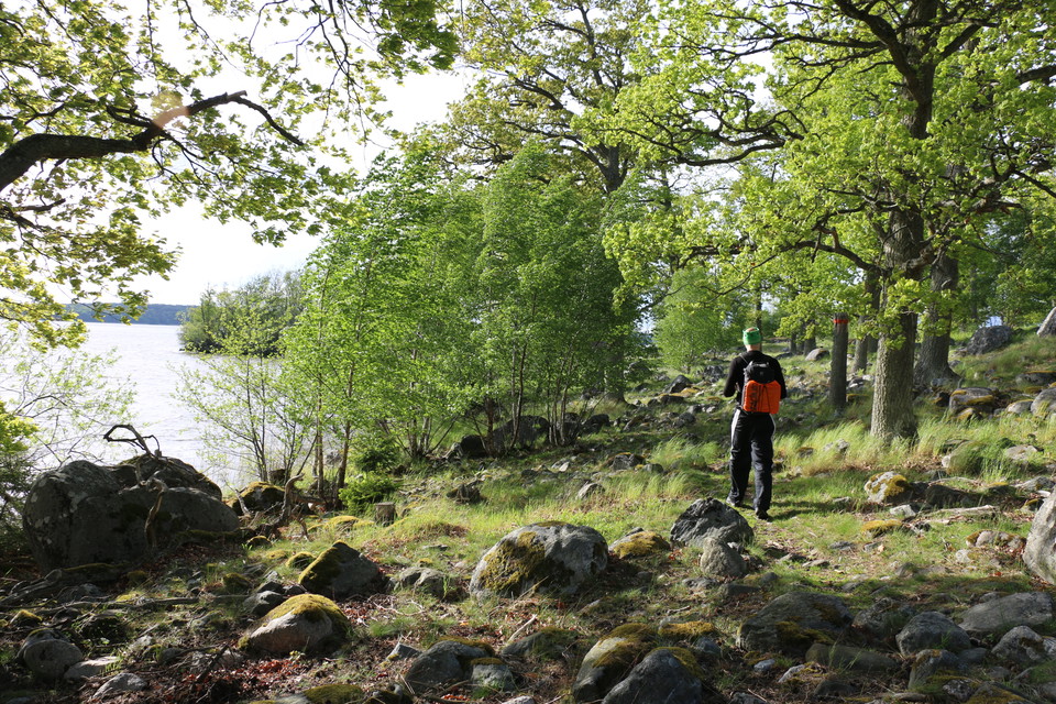En person med ryggsäck går på stenig mark.
