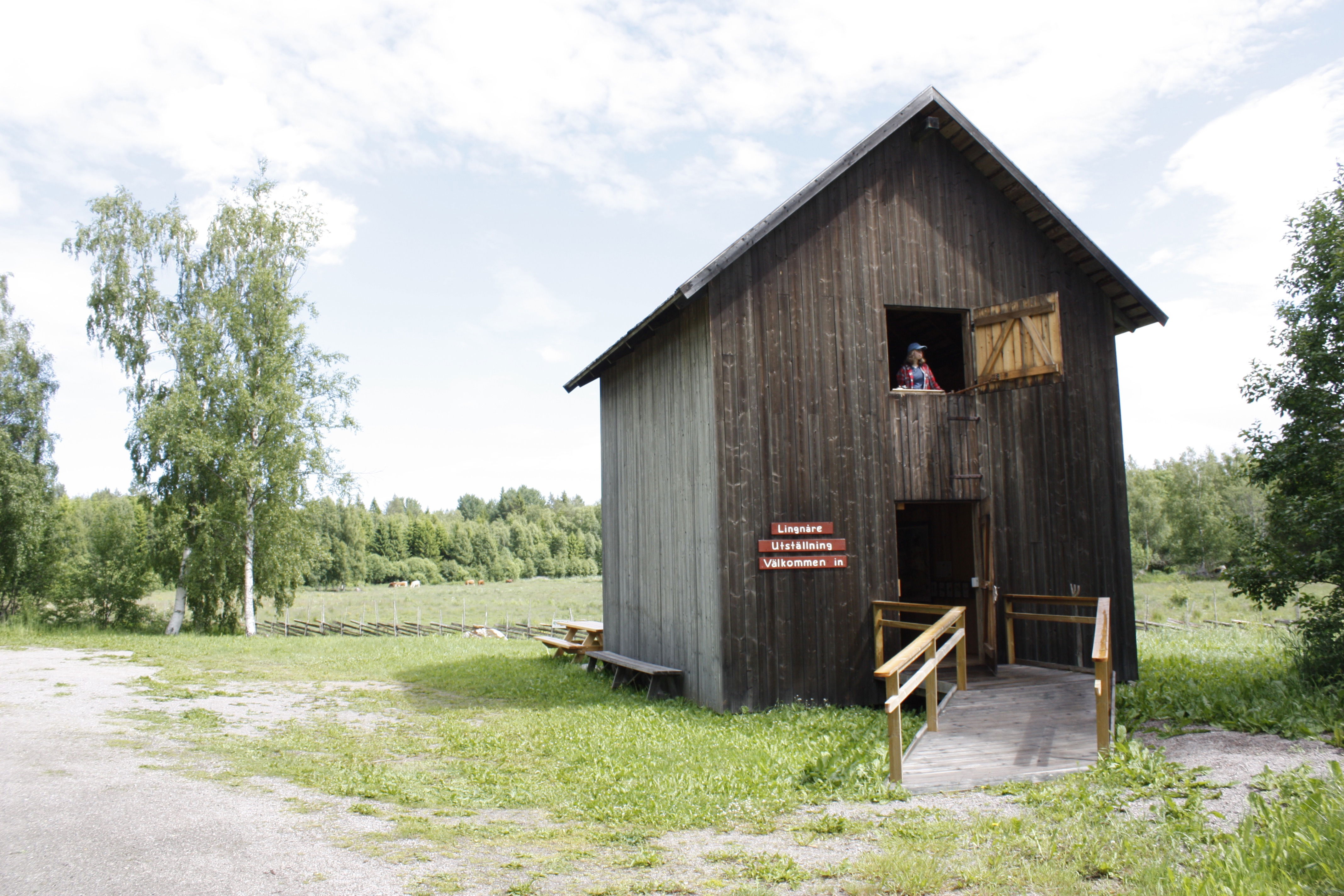 En bred ramp med handräcken leder in till en lada med två våningar. En person kikar fram ur ett öppet fönster på andra våningen.
