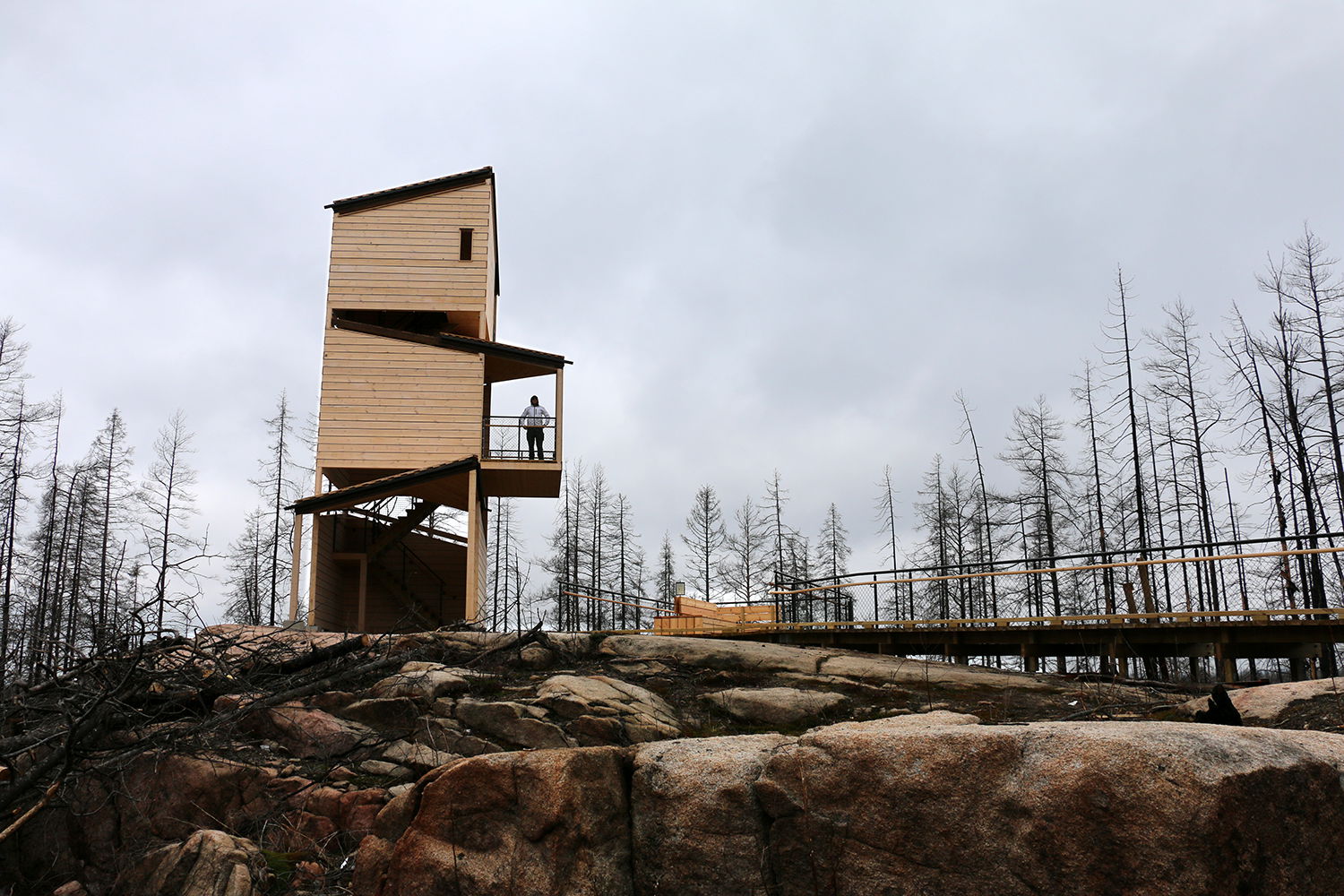 Utsiktstorn i trä och en ramp på Grävlingsberget.